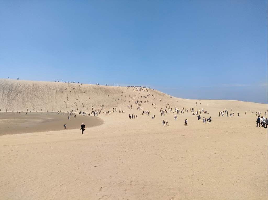 鳥取砂丘の遠めの風景